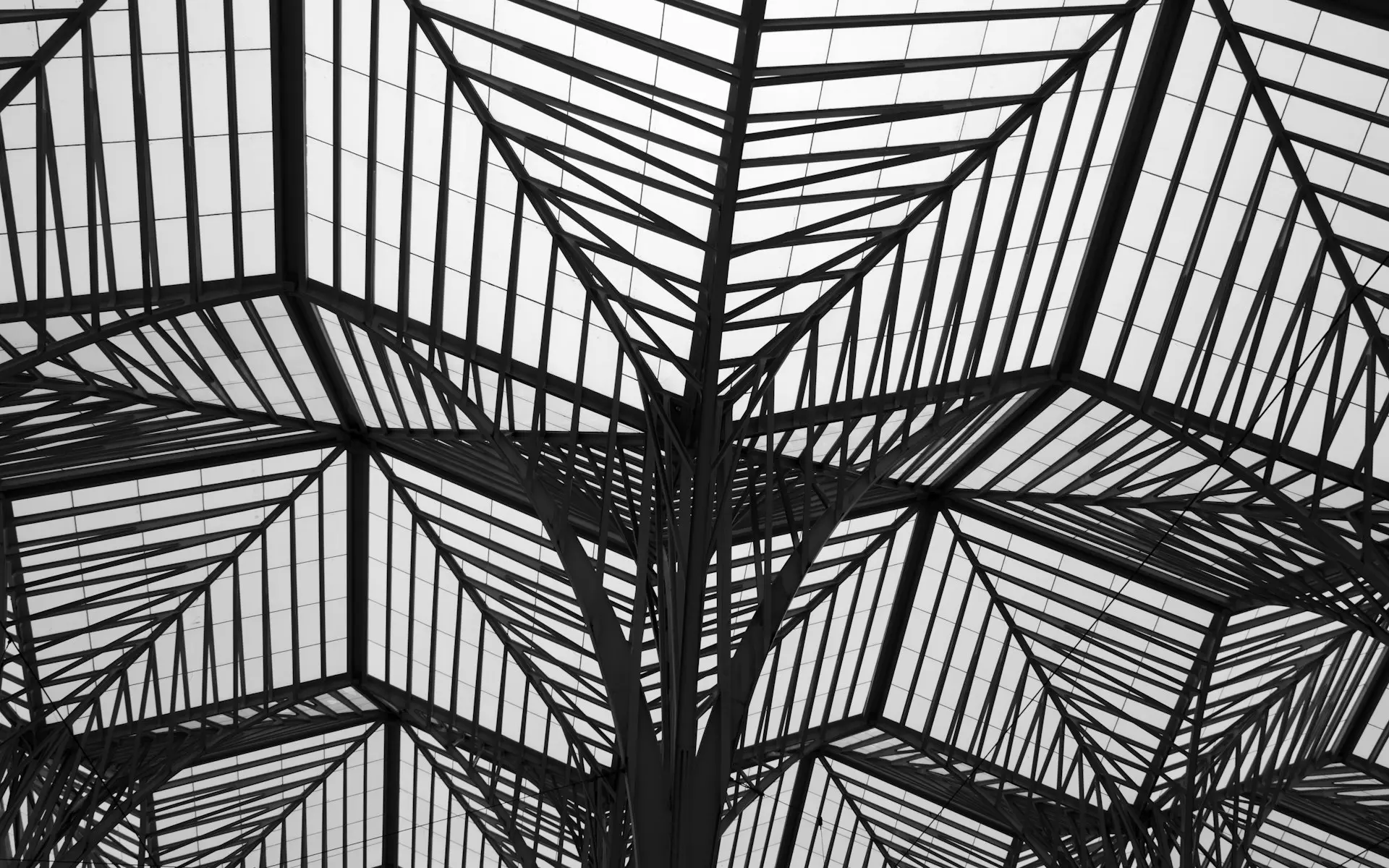 Black and white image of metal structure, like a spider web, representing complexity